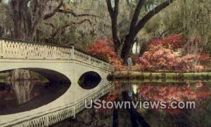 Magnolia Gardens - Charleston, South Carolina