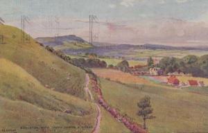 Edburton Sussex Postcard