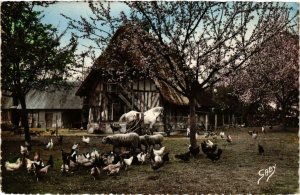 CPA La Normandie Reunion matinale FRANCE FOLKLORE (789418)