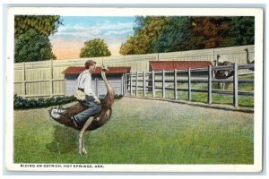 c1920 Riding Ostrich Barn Field Fence Hot Springs Arkansas AK Vintage Postcard