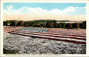 New York Postcard  - Aster Flag - Rochester NY