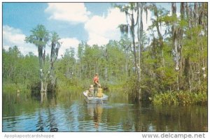 Georgia Fargo This Is The Site Of The Okefenokee Swamp