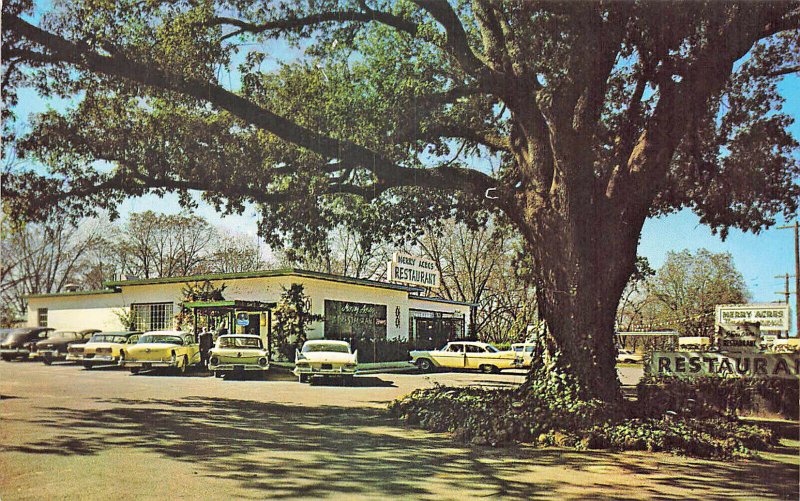 Albany GA. Merry Acres Restaurant Old Cars, Postcard