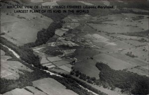 Lilypons MD Three Springs Fisheries Real Photo Postcard