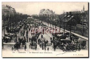 Old Postcard Arras walking horse TOP