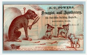 Lot Of 4 1870's-80's E.C Powers Druggist Apothecary Oddball Dog & Scissors P178