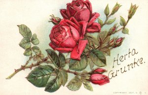 Vintage Postcard 1910's Portrait of Red Roses Beautiful Flowers Artwork Painting