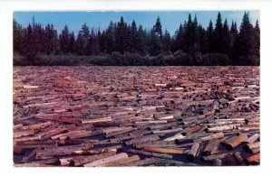 ME - Logging Time in Maine