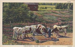 Illinois Sidney Greetings From Sidney