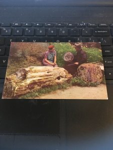 Vintage postcard - Ginko Petrified forest, Ellensburg, Washington