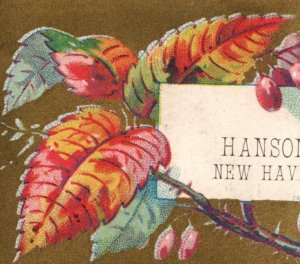 1880 Hanson & Co. New Haven, CT P133