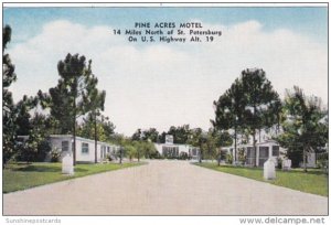 Florida St Petersburg Pine Acres Motel