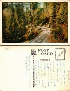 State Highway through Santa Cruz Mountains, Calif. (22677