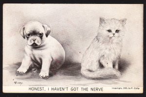 Honest, I Haven't Got the Nerve - Colby 1909