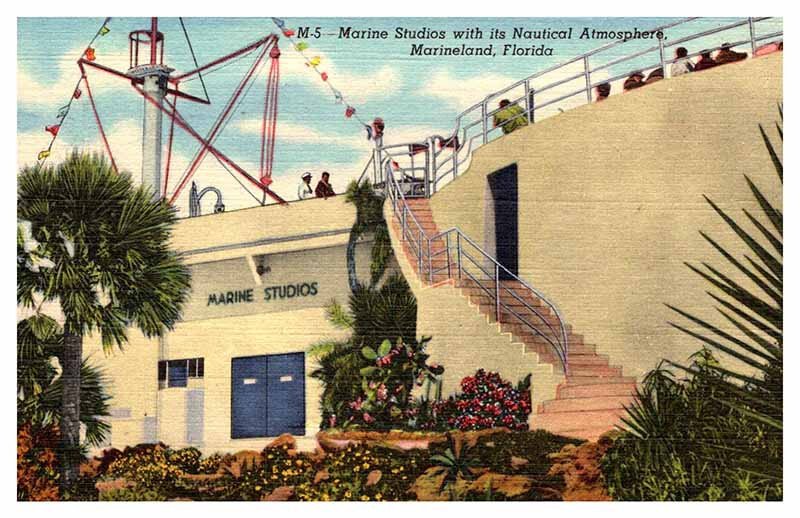 POSTCARD SCENE Marineland Florida FL AQ5689