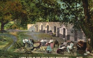 Vintage Postcard Camp Life Santa Cruz Mountains California Cardinell-Vincent Co.