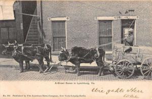 Lynchburg Virginia Ox Cart Street Scene Antique Postcard K78506
