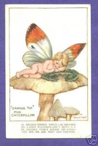 P3388   Sowerby postcard, Fairy   Mushroom, Pretty Wing