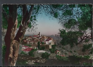 France Postcard - Saint-Paul-De-Vence - Vue a Travers Les Oliviers   RR5863