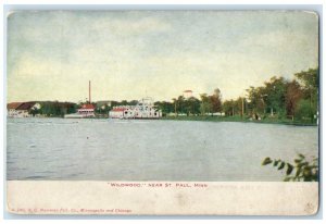 c1905 View Of Wildwood Near St. Paul Minnesota MN Unposted Antique Postcard