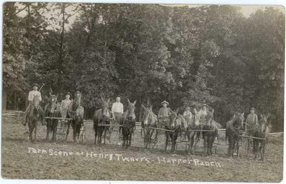 RPPC of Horse & Mule & Guys, Teams in Farm Scene at Henry Turner Harper Ranch,