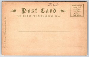 Winthrop Massachusetts~View Down Crest Avenue~Homes Inns Cottages~c1905