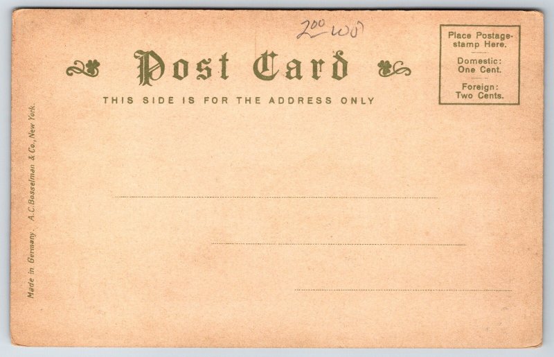 Winthrop Massachusetts~View Down Crest Avenue~Homes Inns Cottages~c1905