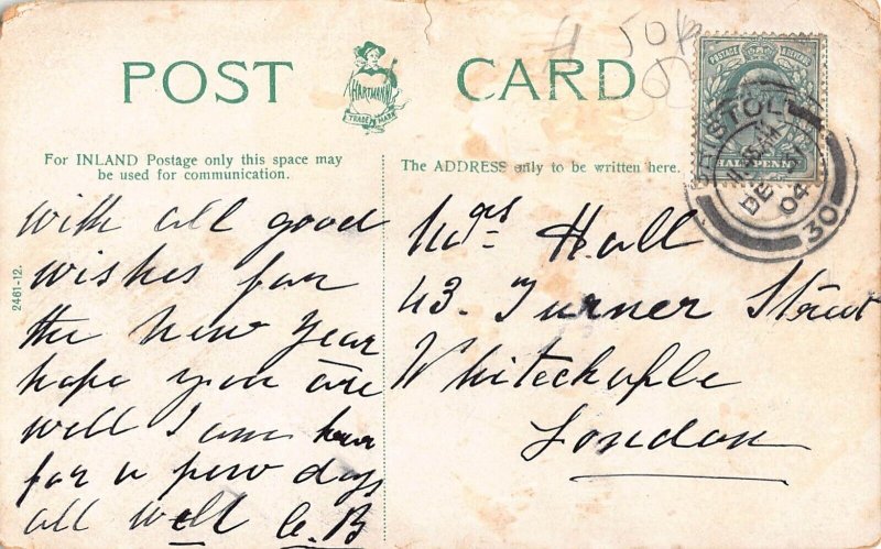 L367 England 1907 Nightingale Valley Leigh Woods Bristol forest vintage postcard