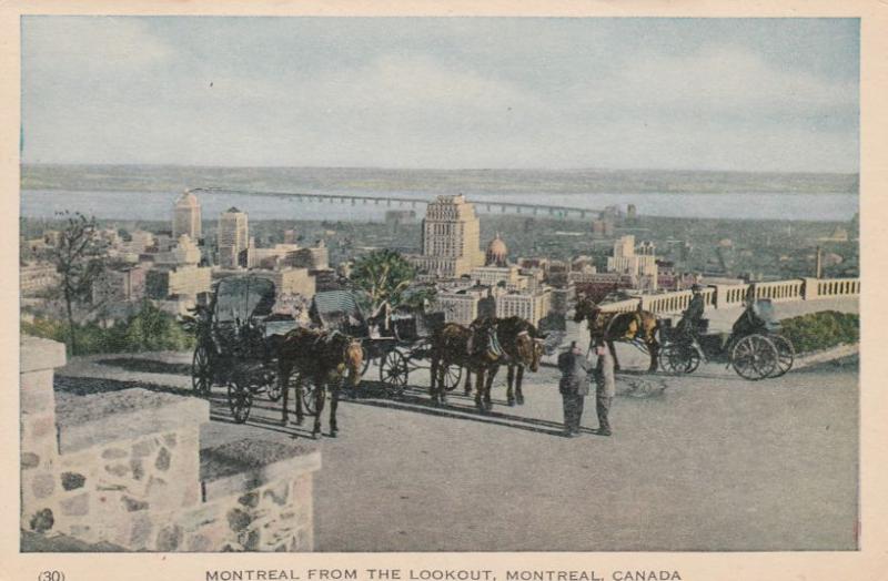 Horse and Carriage at the Lookout - Montreal QC, Quebec, Canada - WB