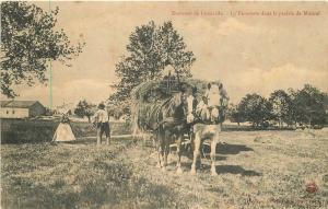 C-1910 Lunesville France Rural Farm Haymaking postcard 4236