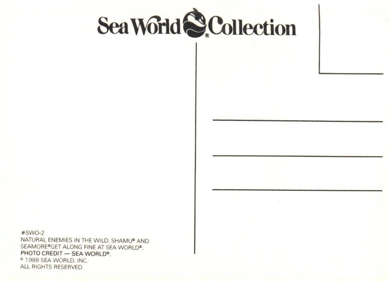 Shamu Killer Whale,Sea World,Orlando,FL