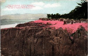 Balloon Route Excursion Trolley Trip Palisades Santa Monica California Postcard