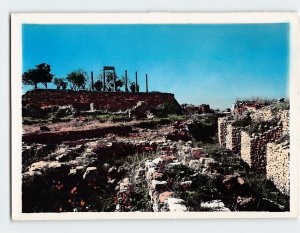 Postcard Roman Columns, Greco, Byblos, Lebanon