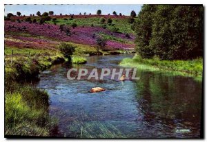 Modern Postcard The Correze picturesque Vallee de la Vezere