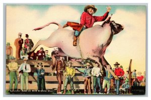 Vintage 1930's Postcard Sylvester Roan on Wild Brahma Steer
