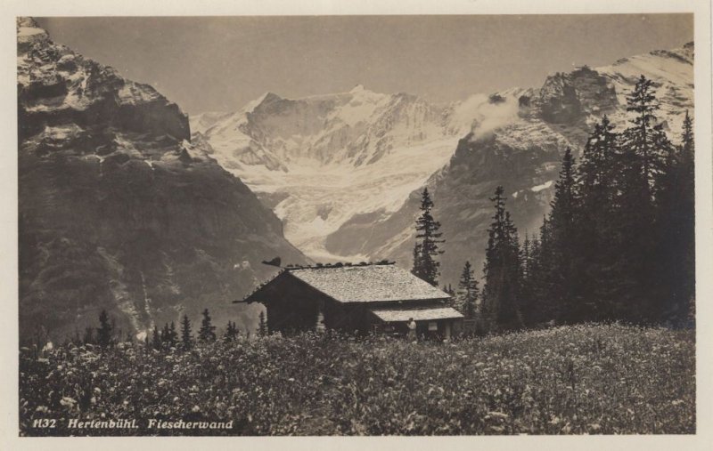 Fiescherwand Hurtenbuhl Swiss Old Postcard