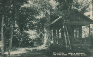 Vintage Postcard Royal Pines Lodge And Cottages Lake Winnecook Burnham Maine ME