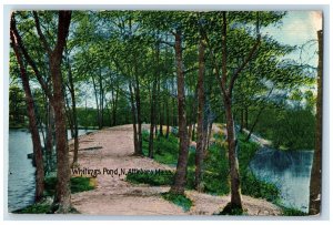 c1910 Scene at Whitings Pond N. Attleboro Massachusetts MA Antique Postcard 