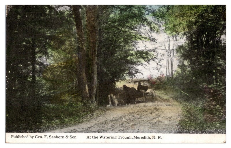 1910 At the Watering Trough, Horse & Buggy, Meredith, NH Postcard