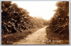 RPPC Dirt Street View Palm Drive California CA Blair Photo UNP Postcard K2