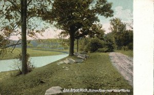 Vintage Postcard Scenic View Huron River Near Waterworks Ann Arbor Michigan MI