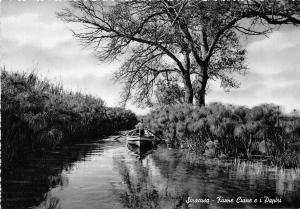 BR6835 Siracusa River Ciane and the papyrus postcard  italy