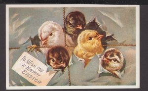 To Wish You A HAPPY EASTER with 5 chicks - DB
