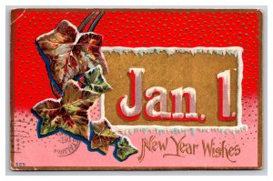 Jan 1 Nears Wishes Ivy Embossed Icicle Frame DB Postcard A16