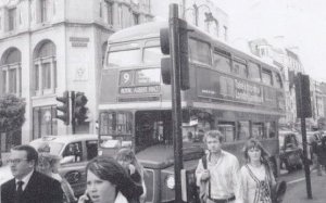 Royal Albert Hall Number 9 Bus in Rush Hour London Postcard