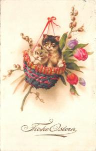 B95039 ostern easter cat in basket flower austria