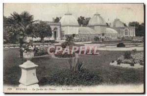 Old Postcard Rennes The Plant Garden Greenhouses