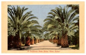 California  Date Palms