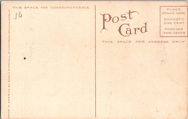 Picking Lemons California Fruit Orchard Postcard c1915