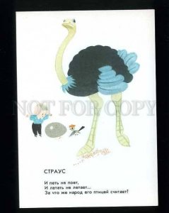 180556 ostrich by artist Tokmakov old postcard